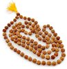 Picture of Rudraksha, Meditation, Prayer Beads and Energized Chakra Beads Mala/Necklace